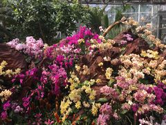 -北京植物园-展览温室