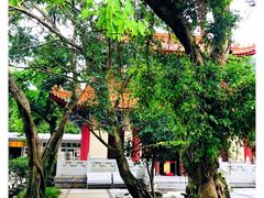 -宝莲禅寺