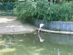 -红梅公园