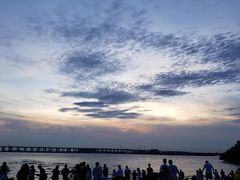 -宝安西湾红树林湿地公园