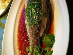 太雕酒香蒸鲥鱼-上海小南国(正大店)