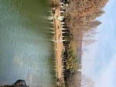 -桃花岛公园