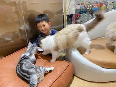 -1013 PET SHOP精品宠物商店(丁香店)