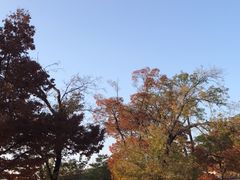 -景福宫