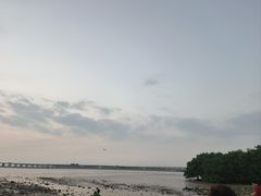 -宝安西湾红树林湿地公园