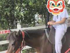 -金鸡湖桃花岛