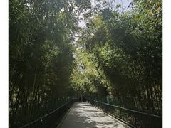 -趵突泉景区
