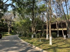 -西双版纳安纳塔拉度假酒店