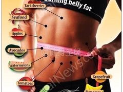 -金吉鸟健身游泳