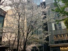 -杭州城中香格里拉大酒店
