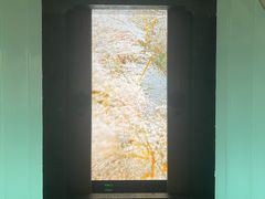 -中国湿地博物馆