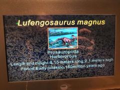 -世界恐龙谷景区