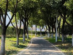 -金银湖国家城市湿地公园