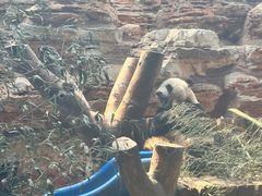 -石家庄市动物园