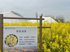 -中国天府农业博览园