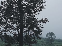 -石棉县孟获城