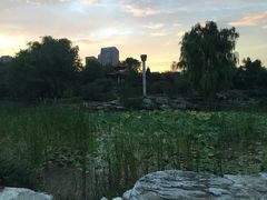 -永定河休闲森林公园