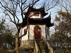 -上海佘山国家森林公园天马山园