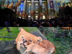 -国家自然博物馆