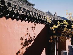 -潭柘寺景区