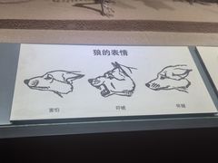 -大庆市博物馆