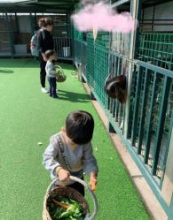 -小蜜蜂农场(凯德七宝购物广场店)