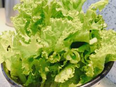 生菜叶-猪的故事·韩式烤肉(韩乐坊店)