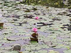 -成都中医药大学(温江校区)
