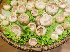 -蔼若春.传承云南菜(金碧公园店)