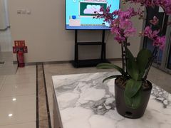 -瑞尔齿科(颐堤港诊所)