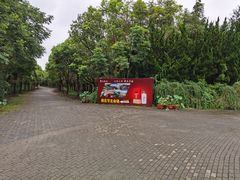 -上海海湾国家森林公园