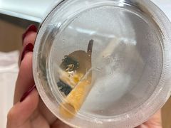 -星巴克(天津大悦城第二店)
