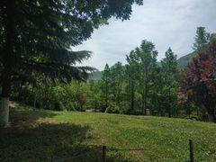 -秦岭风景区