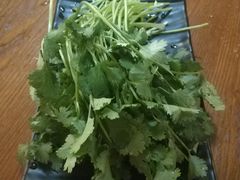 香菜-呷哺呷哺(凯旋广场店)