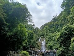 -鼎湖山风景区