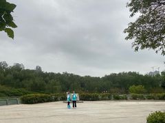 -大亚湾红树林城市湿地公园