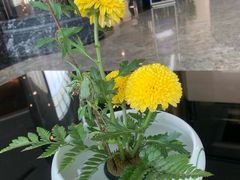 -淄博蓝海国际大饭店·蓝钻国际美食自助百汇(柳泉路店)