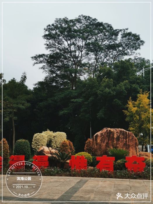 滨海公园图片