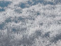 -妙峰山风景名胜区