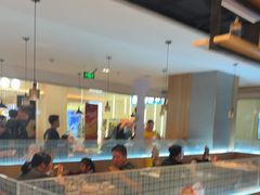 -比格比萨自助(宝山日月光店)