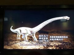 -自贡恐龙博物馆