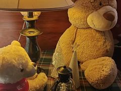 -咖法森林·咖啡  酒吧(天河店)