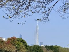 -海珠湖公园
