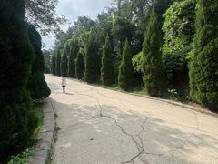 -沂蒙山旅游区云蒙景区(蒙山国家森林公园)