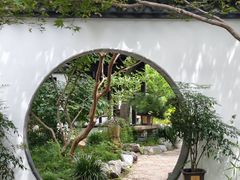 -上海醉白池公园