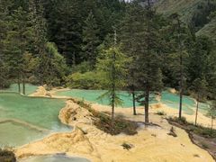 -黄龙山原始森林景区