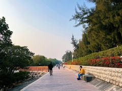 -宝安西湾红树林湿地公园