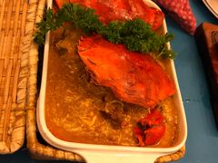 -茉莉.Red Crab