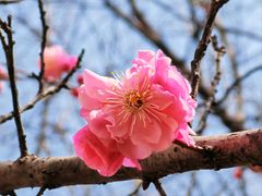 -渭河城市绿地运动公园