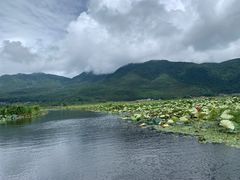 -腾冲北海湿地
